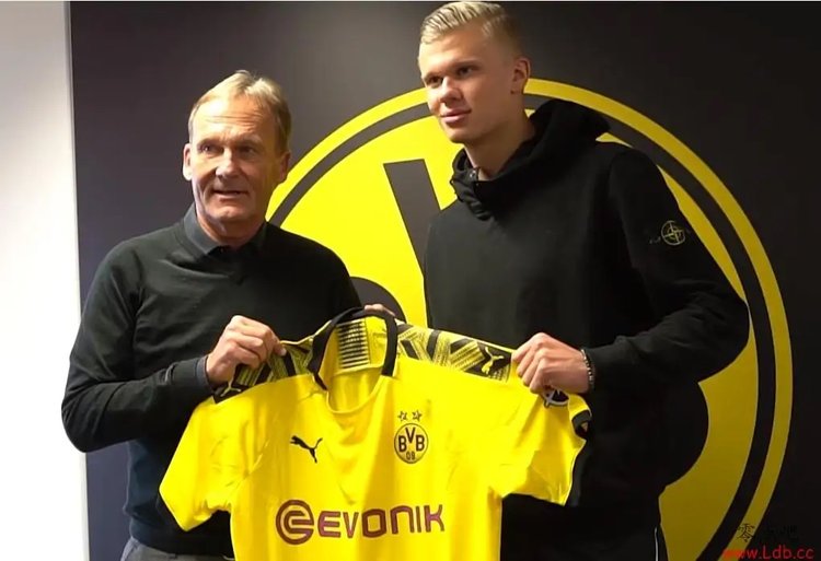 范德芬欧冠长途奔袭一条龙破门当选热刺11月最佳进球，获81%投票背后隐藏的训练秘密！